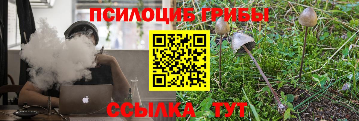 Галлюциногенные грибы Magic Shrooms  Псилоцибиновые грибы GOLDEN TEACHER  Соль-Илецк  Вход с VPN 