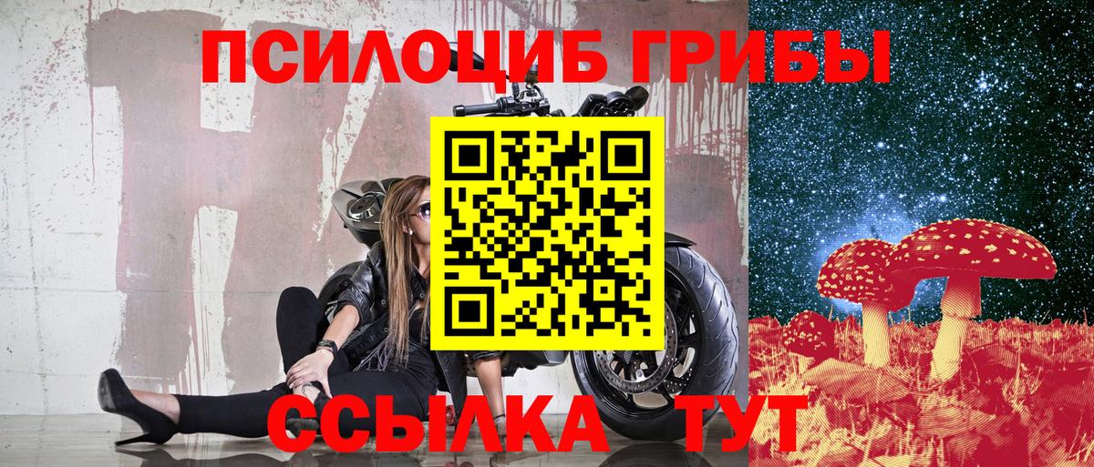 Галлюциногенные грибы Cubensis Соль-Илецк