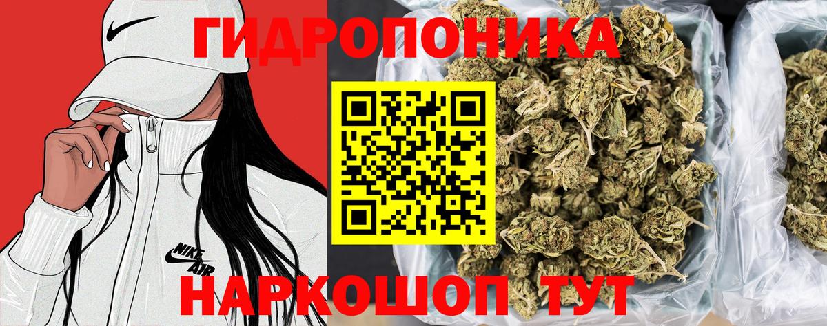 Бошки Шишки LSD WEED  МАРИХУАНА LSD WEED  Вход с VPN  Соль-Илецк 